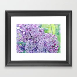 Yesterday's Lilac Framed Art Print