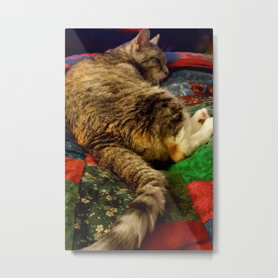 This is the life! Metal Print