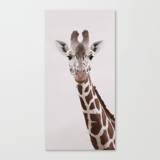 GIRaFFE Canvas Print