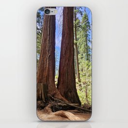 Hike in the Sequoias iPhone Skin