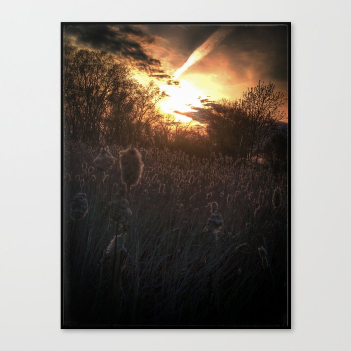 Summer is upon us Canvas Print