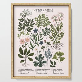 Herbarium ~ vintage inspired botanical art print ~ white Serving Tray