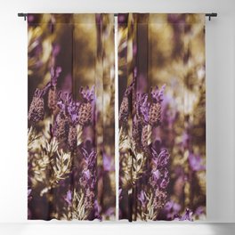 french lavender garden Blackout Curtain