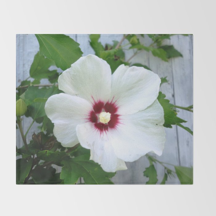 White Hibiscus Flower Ruffle Throw Blanket By Zurine Society6