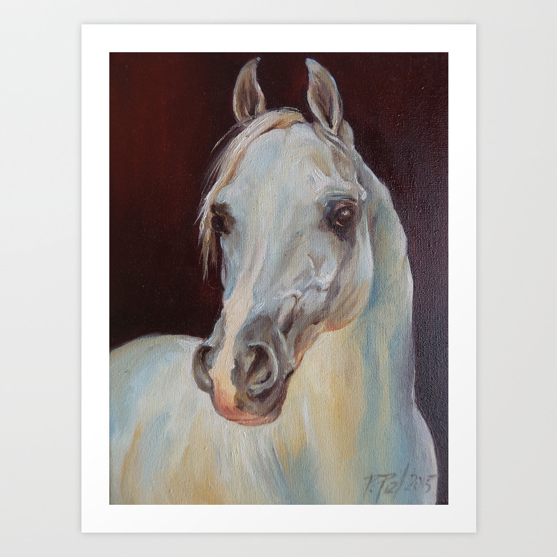 Arabian Horse Portrait Gray Horse Head Horse Painting Art Print By