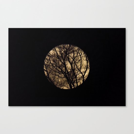 Full Moon though the trees Canvas Print