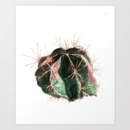 Asteroid cactus Art Print