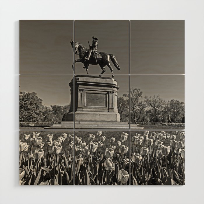 Boston Public Garden George Washington Statue with Tulips in the Spring Black and White Wood Wall Art