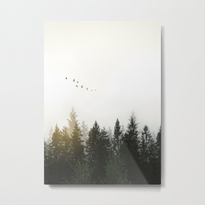 Forest Metal Print