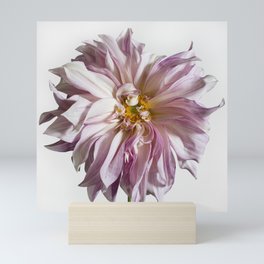Dahlia Flower #1 Mini Art Print