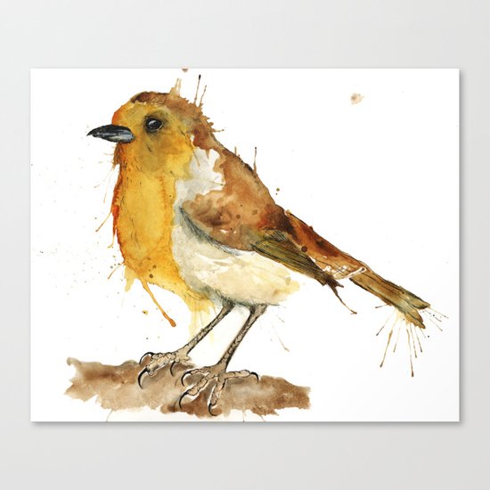 Red Robin Canvas Print