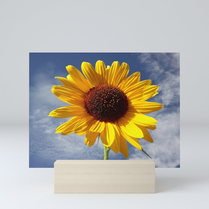 Sunny Sunflower in the Sky Mini Art Print
