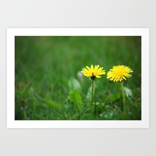 Dandelions Art Print