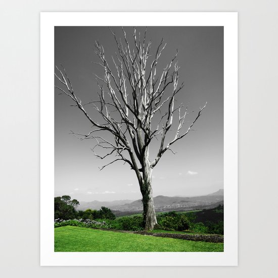 Blue Gum Tree Art Print