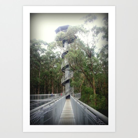 Otway Fly - Spiral Art Print