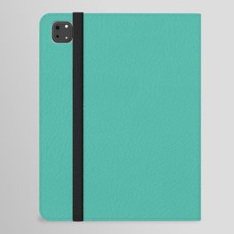 Mountain Lake Azure iPad Folio Case