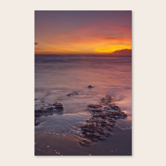 Purple Canvas Print