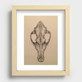Coyote Skull Recessed Framed Print