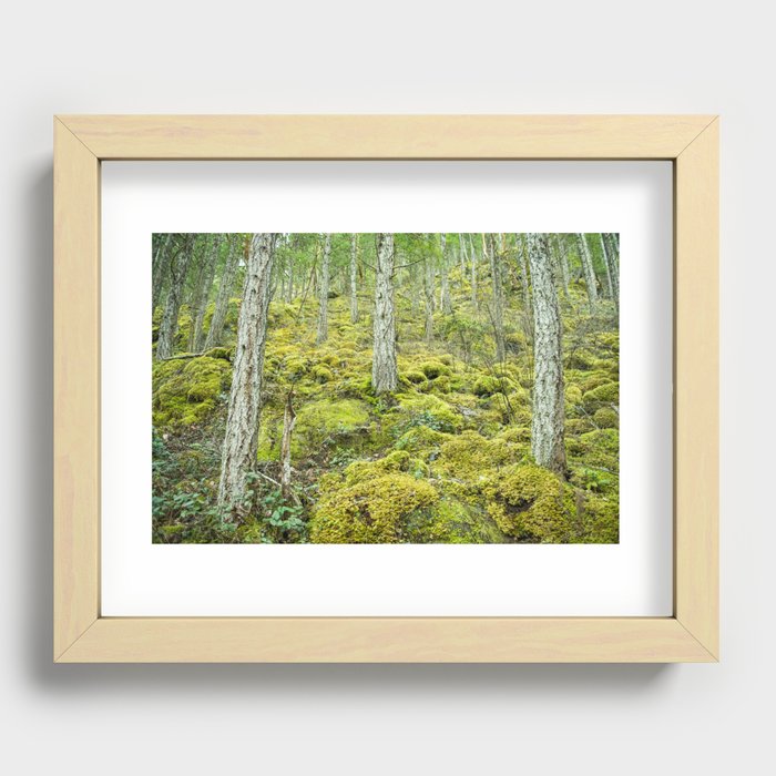 Mossy Forest Floor Recessed Framed Print