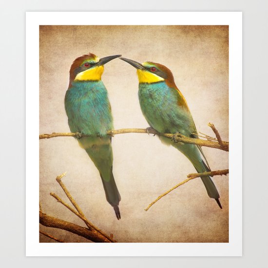 Love time. Bee-eaters Art Print