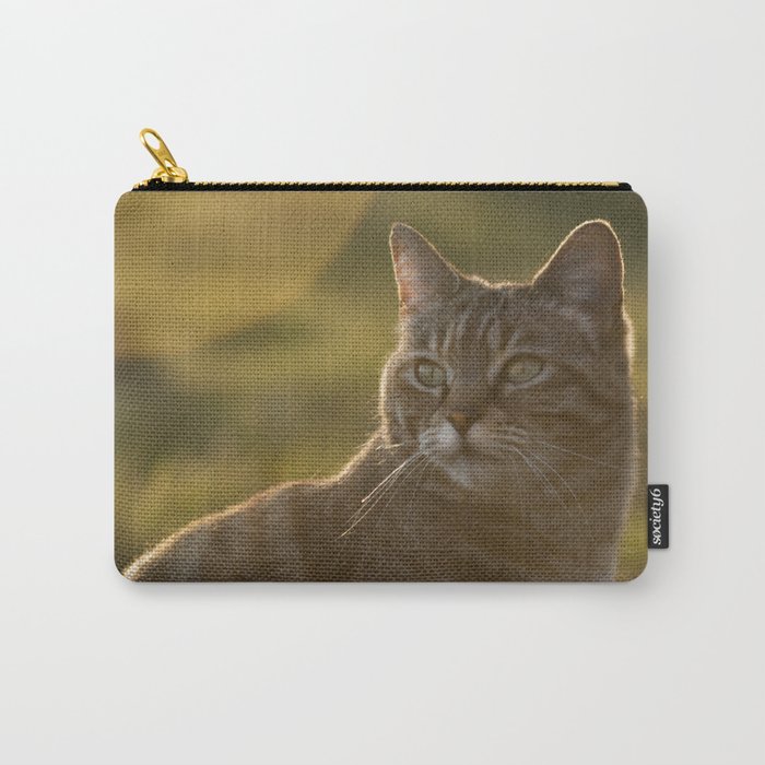Tabby kitty Carry-All Pouch