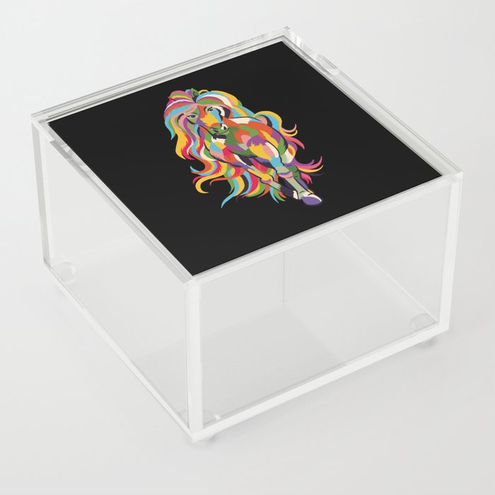 Colorful Horse Acrylic Box