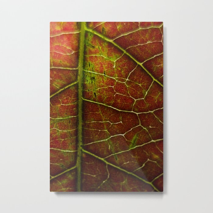 Autumn texture Metal Print