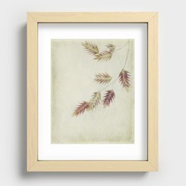 oat grass leaves Recessed Framed Print