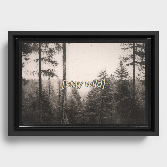 Framed Canvas