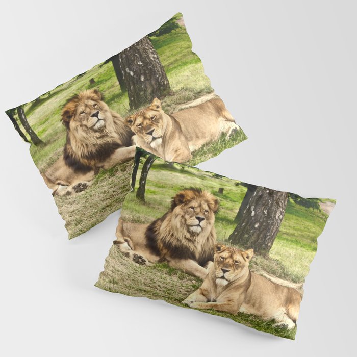 South Africa Photography - Two Beautiful Lions Laying On The Grass Pillow Sham