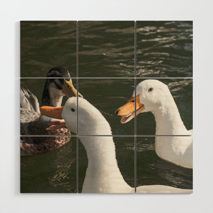 Ducks at the dock Wood Wall Art