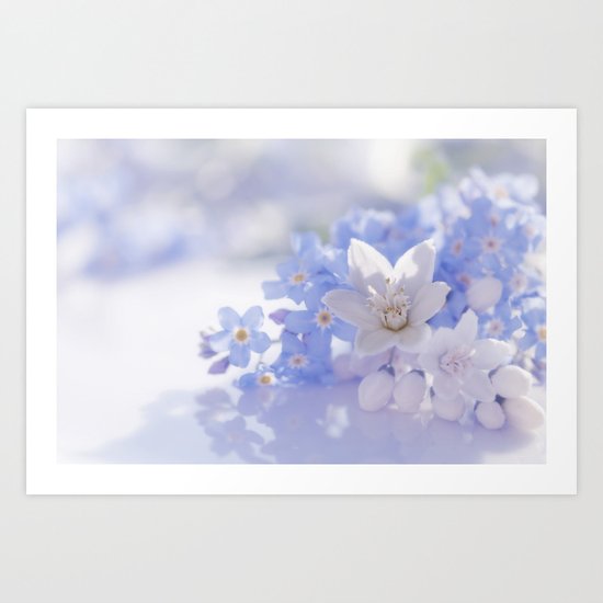 Queen and court- Springflowers in blue and white - Stilllife Art Print
