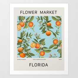FLORIDA FLOWER MARKET Art Print
