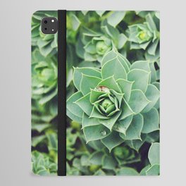 Myrtle Spurge close-up | Pale green succulents iPad Folio Case