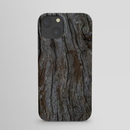 Koa Tree Trunk iPhone Case