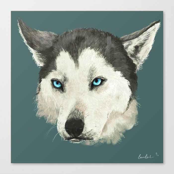 Husky Portrait Canvas Print