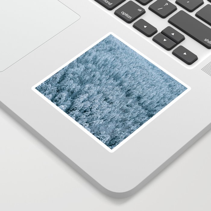 Winter pine forest aerial - Landscape Photography Sticker