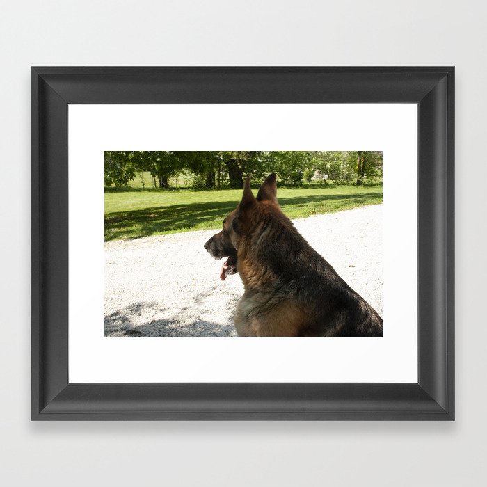 Dog in a ruff place Framed Art Print