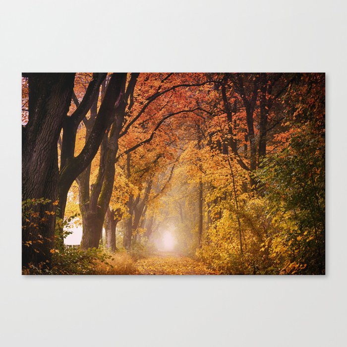 Autumn Fall Forest Path Nature Landscape Photography Canvas Print By Staypositivedesign