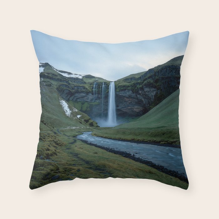 Throw Pillow