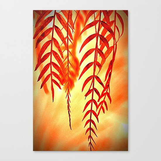 Nature willow Canvas Print