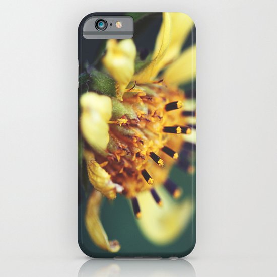 Sunburst iPhone & iPod Case