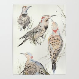 Flickers by Lenny's Creek Poster