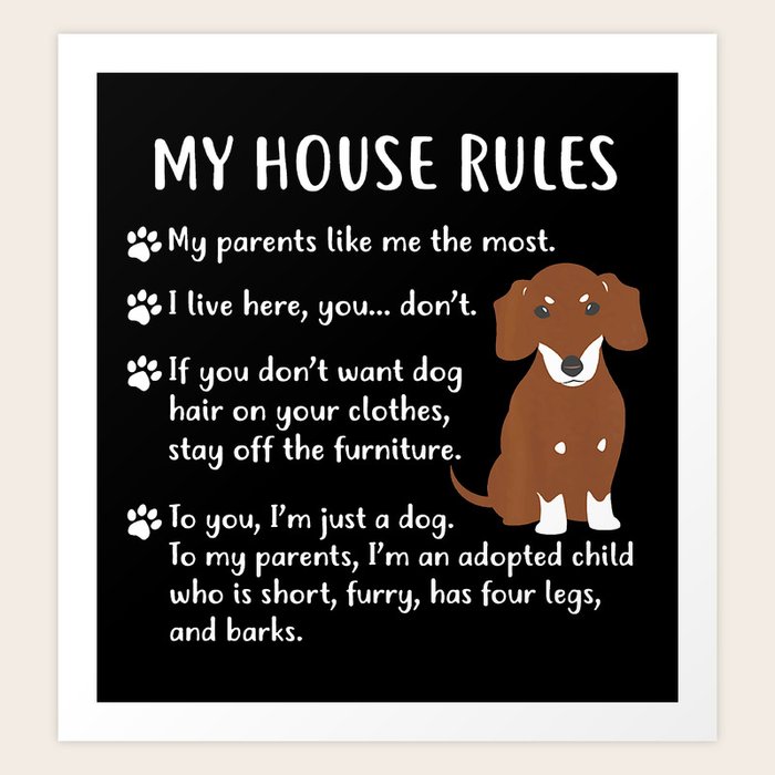 Dachshund apparel deals
