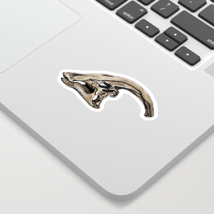 Parasaurolophus Skull Sticker