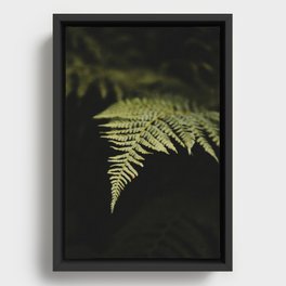 Fern detail print | Travel Photography | art print  Framed Canvas
