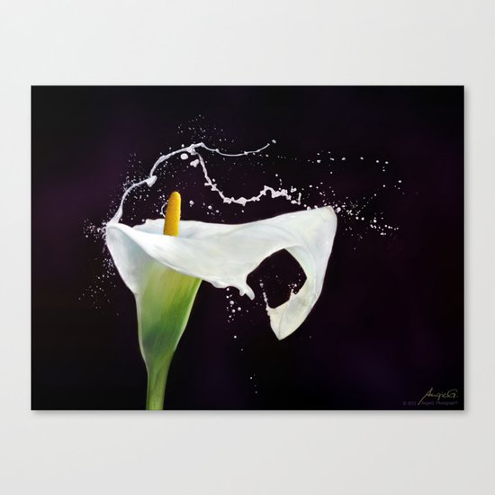 Iniuria Canvas Print