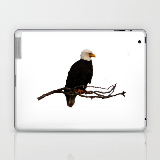 EagleView II Laptop & iPad Skin