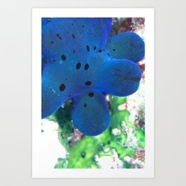 Hiby's coriocella Art Print | Black, Maldives, Blue, Blueglow, Hiddenshell, Seaslug, Indianocean, Digital, Coriocellahibyae, Green 