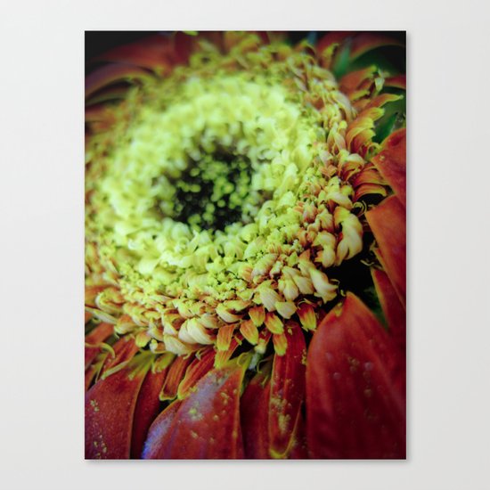 GALAXY Canvas Print